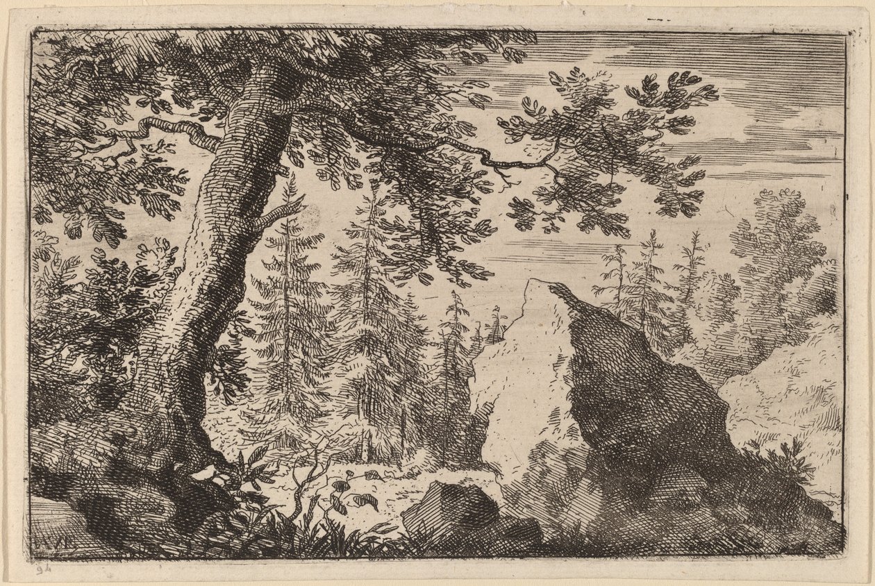 Rocher dans les bois - Allart van Everdingen