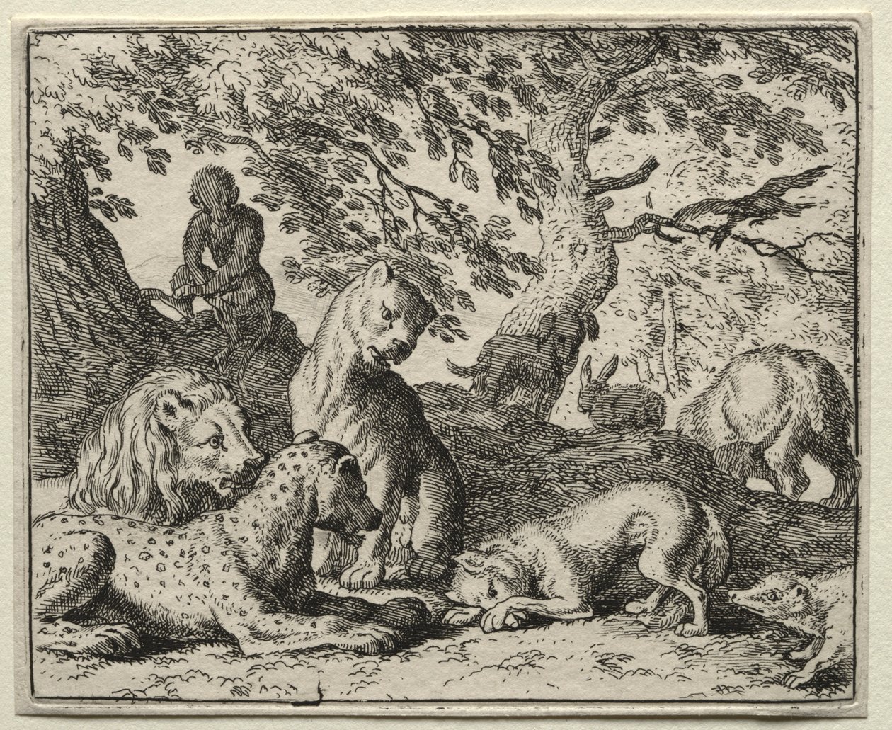 Renard le goupil : Renard décrit un faux complot contre le lion - Allart van Everdingen