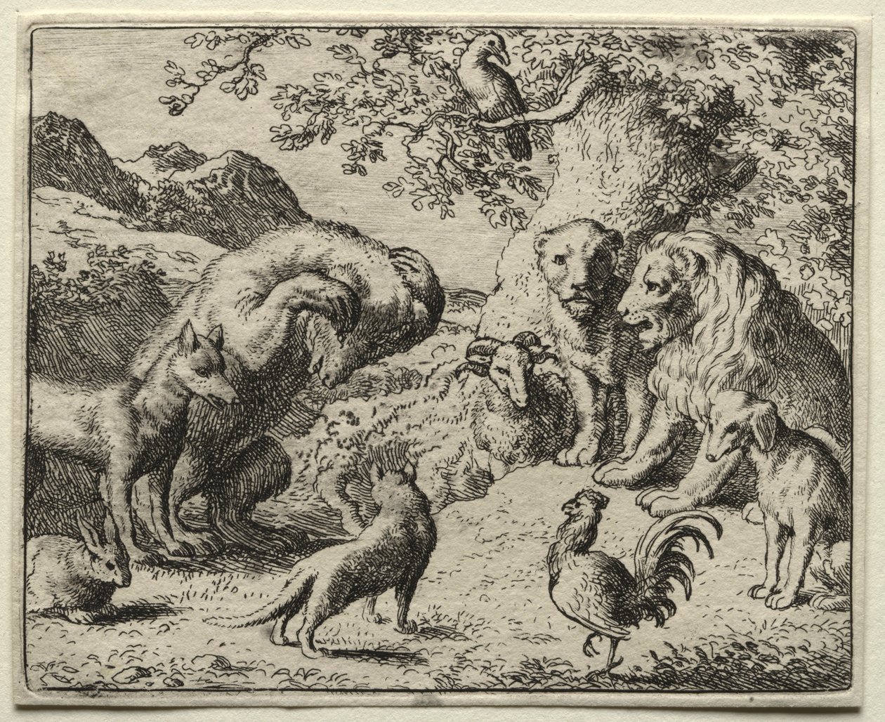 Reynard le Renard: La Plainte de l