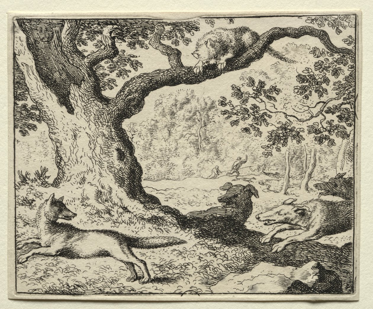 Renard le Goupil : Le Chat Déloyal - Allart van Everdingen