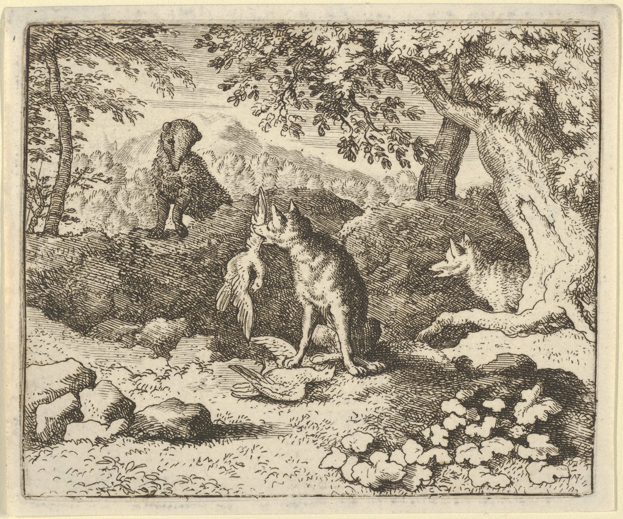 Le blaireau se dépêche d