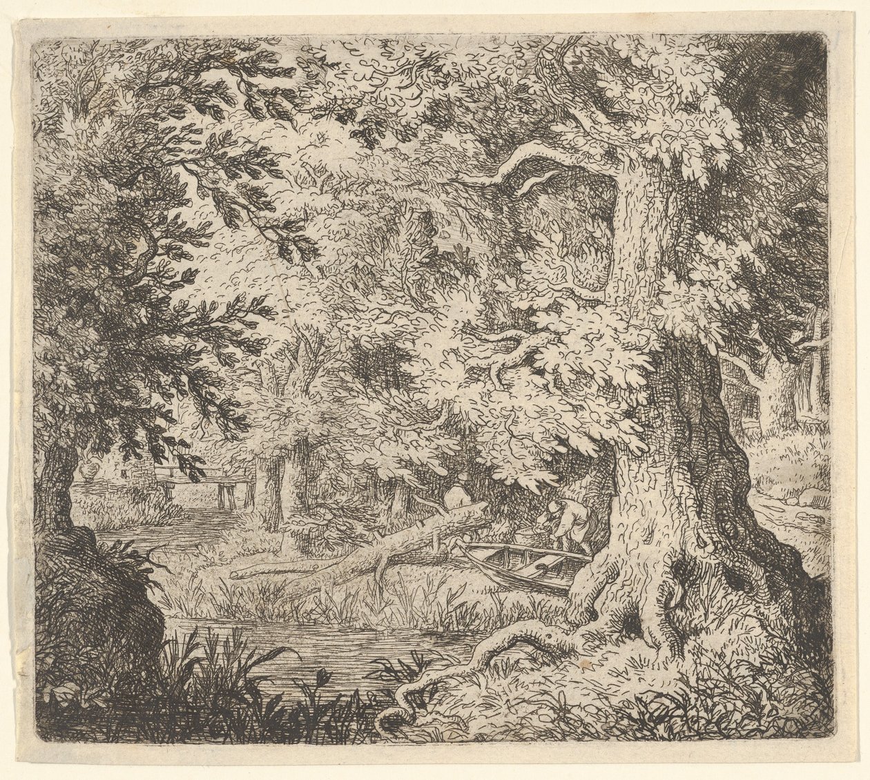 Le ruisseau dans le bois - Allart van Everdingen