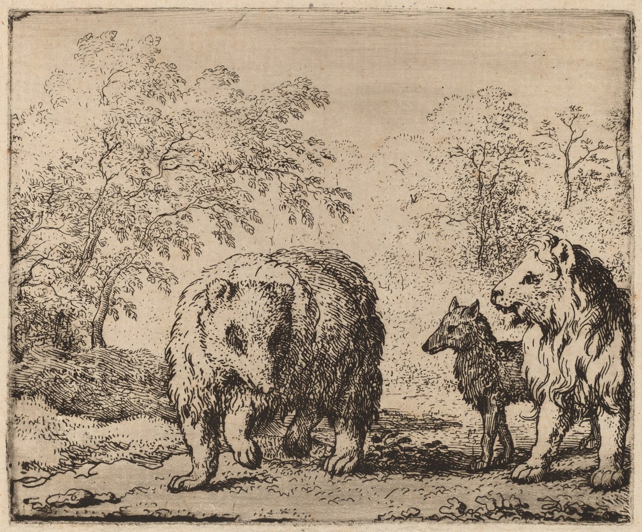 Le lion libère l