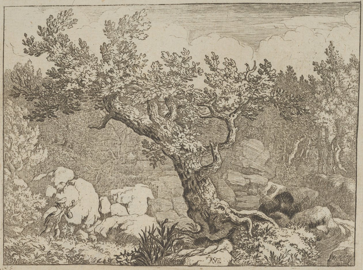 Le chasseur près du grand arbre, 17e siècle - Allart van Everdingen