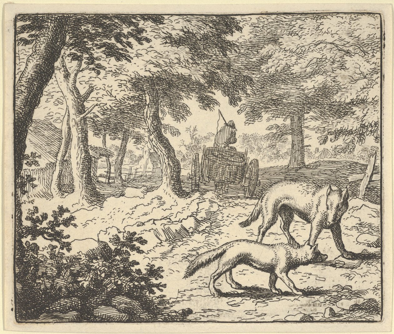 Le loup accuse Renard d