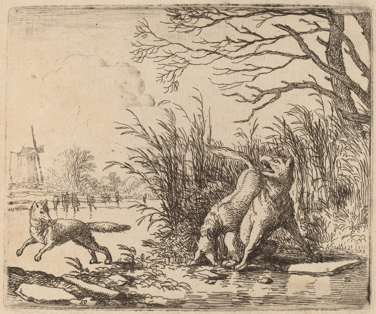 Les loups sur la glace - Allart van Everdingen