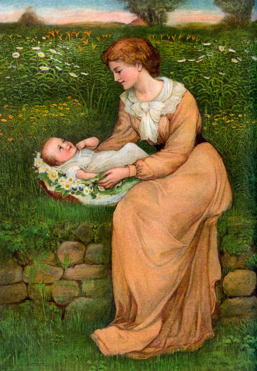 Un lit de marguerites, 1905 - Alphage Brewer