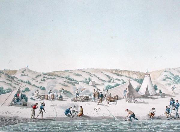 Baie des Chiens Marins, Nouvelle-Hollande: Le camp de l
