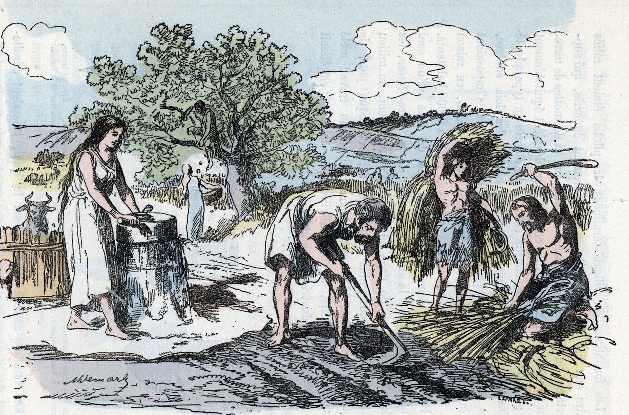 Vie quotidienne en Préhistoire : scène de travaux agricoles à l