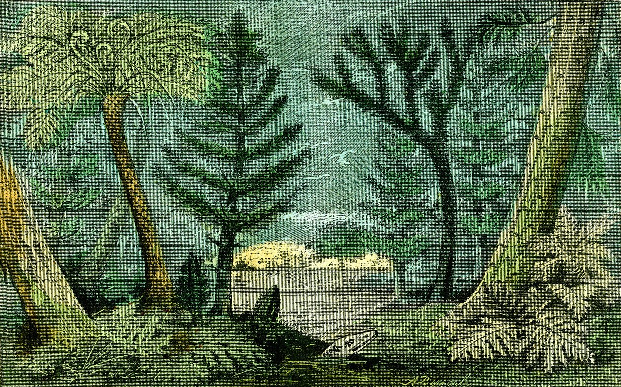 Préhistoire, période du charbon : Marécage et forêt de la période du charbon (J. Rrengade) - Alphonse Demarle