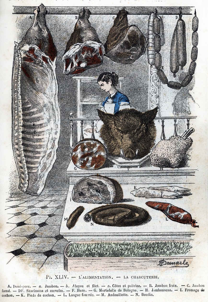 Vue de charcuteries. Un demi-porc (un jambon b aloyau c côtes et poitrine) B jambon frais C jambon fumé D saucisses et cervelas F hure G mortadelle de Bologne H jambon I fromage de tête K pieds de porc L langue farcie M andouillette N boudin) (charcuterie, - Alphonse Demarle