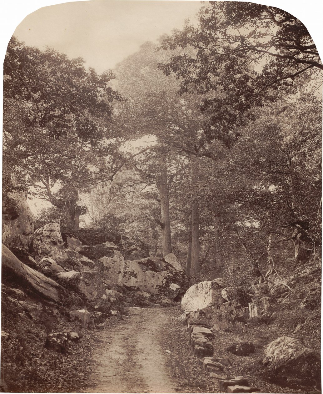 Fontainebleau,c. 1860s (photo) - Alphonse Francois Jeanrenaud