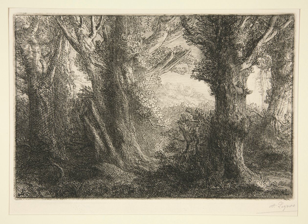 Dans la forêt de Conteville - Alphonse Legros
