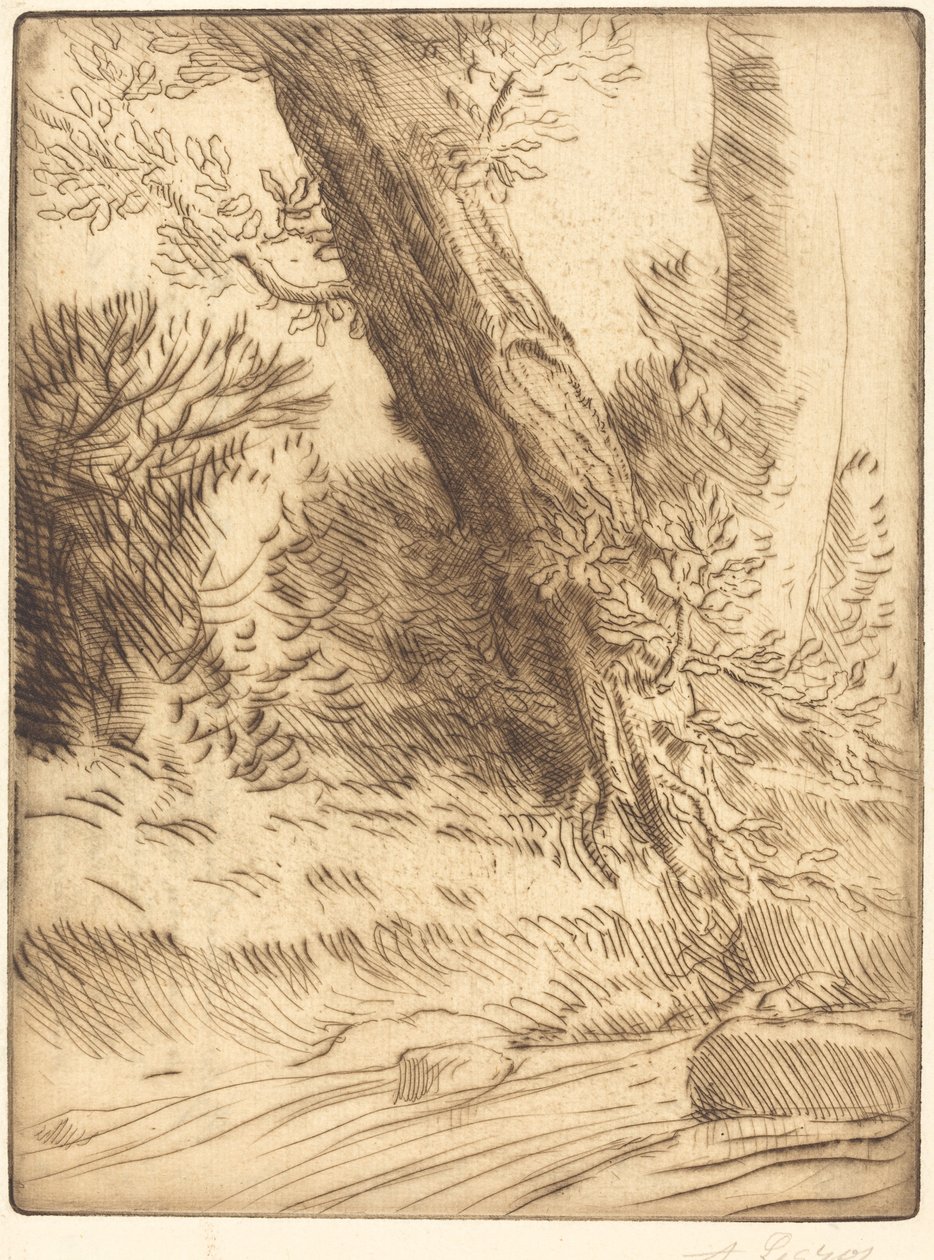 Bord de ruisseau - Alphonse Legros