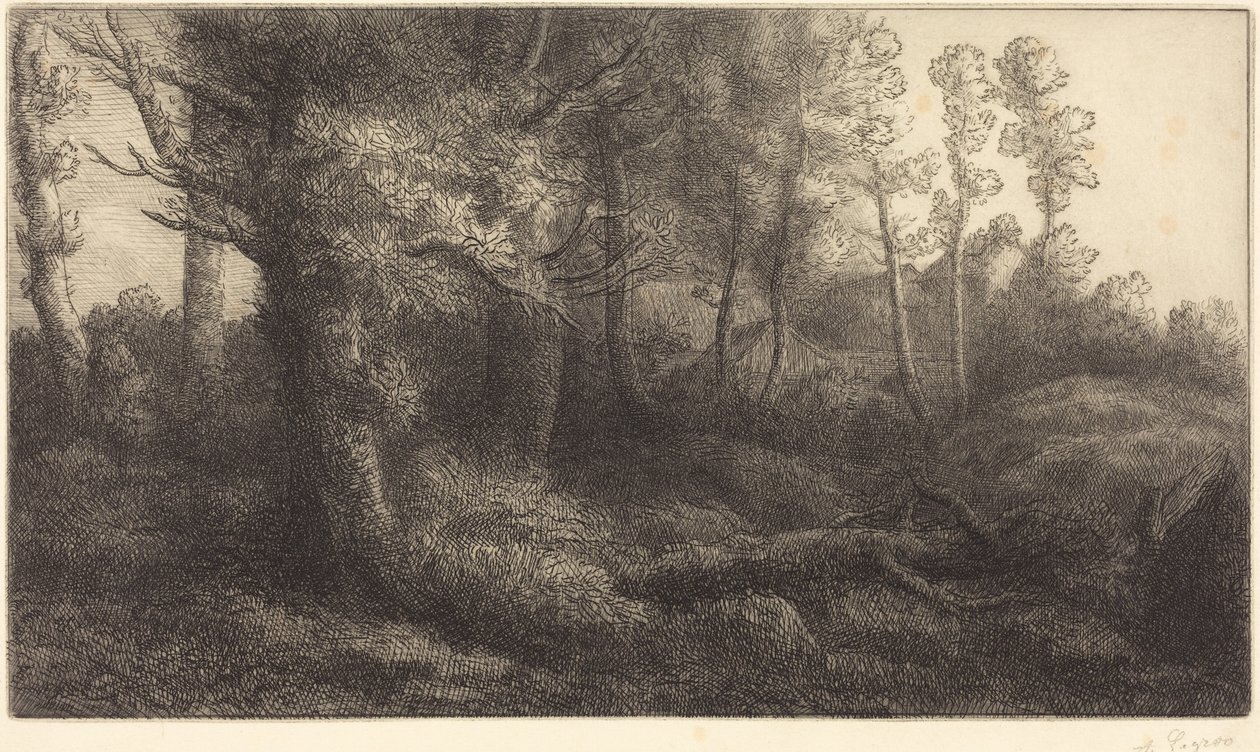 Dans la forêt (Lisière de forêt) - Alphonse Legros
