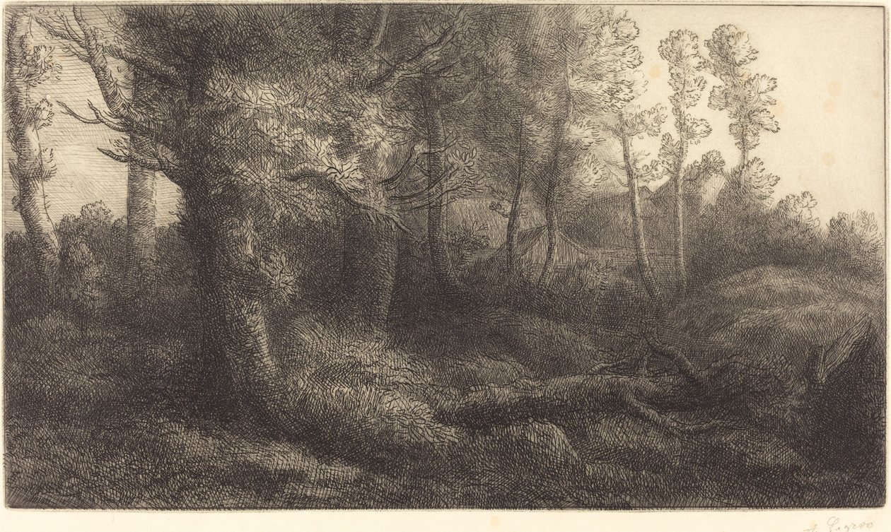 À la lisière de la forêt - Alphonse Legros