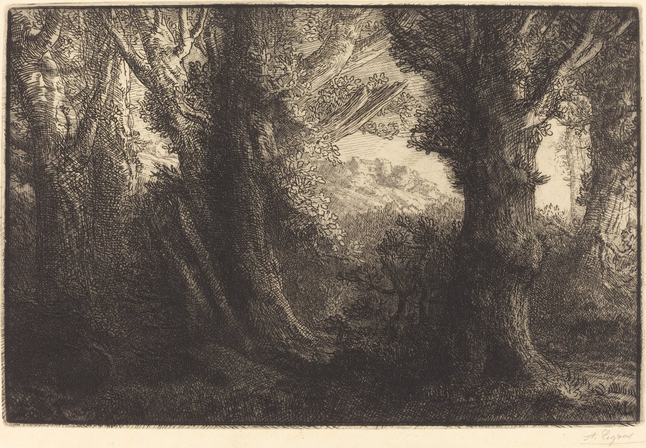Dans la forêt de Conteville - Alphonse Legros