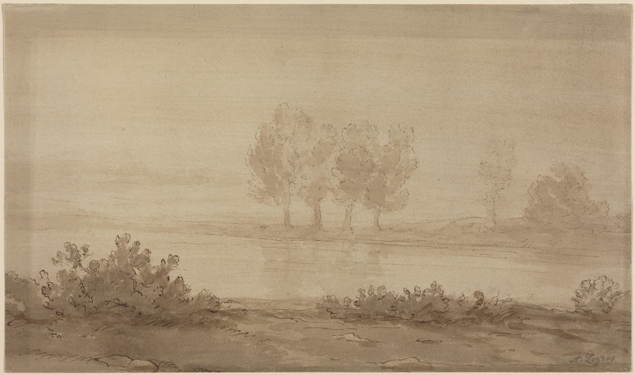 Paysage - quatre arbres au-delà d