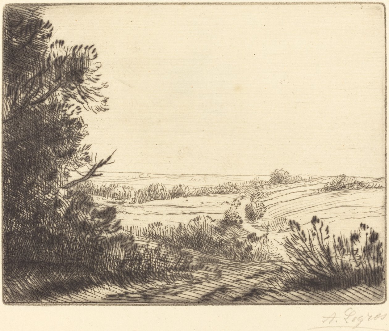 Paysage : Chemin d