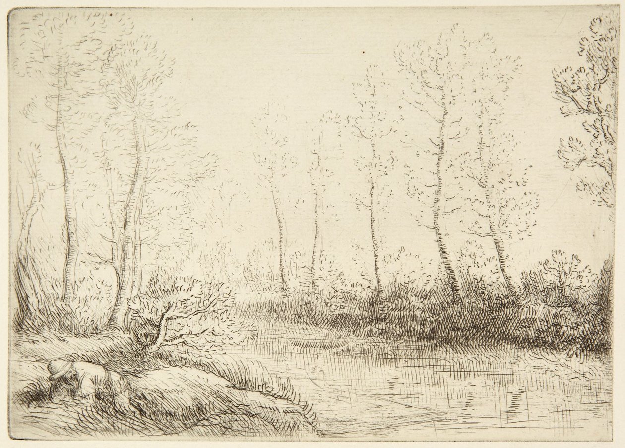 Les Bouleaux - Alphonse Legros