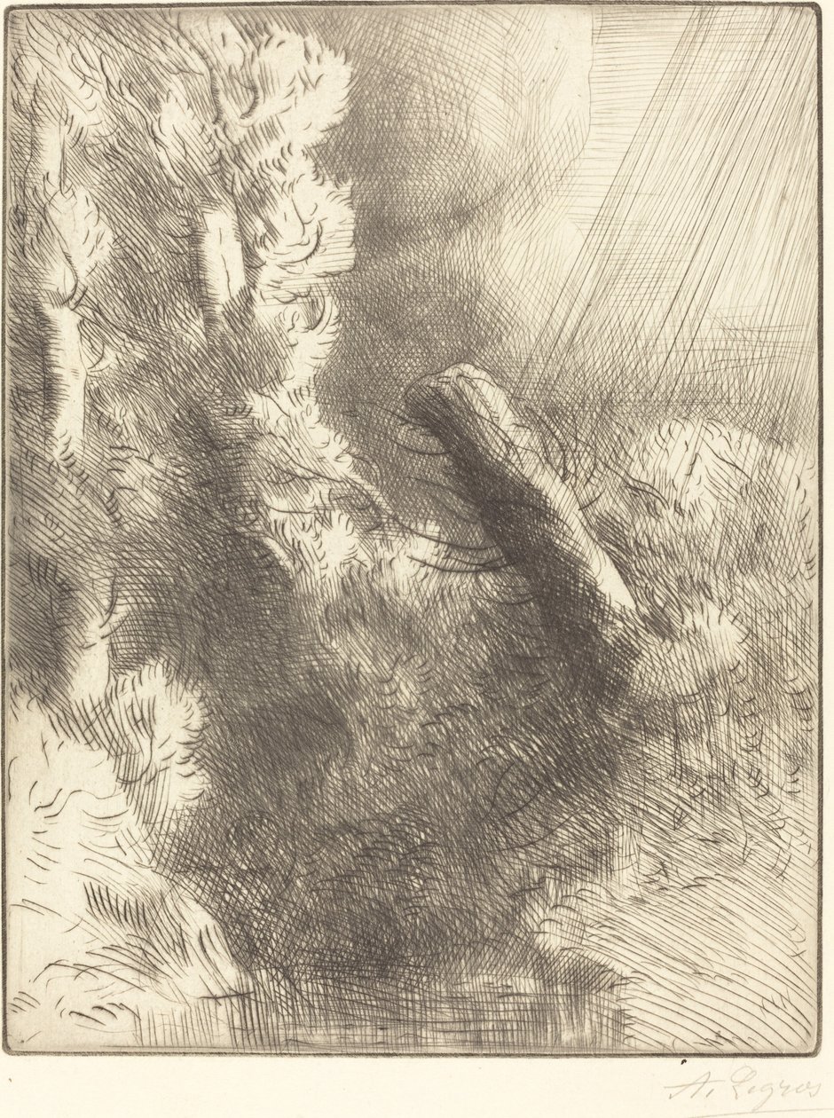 Souvenirs de Fontainebleau sous la pluie - Alphonse Legros