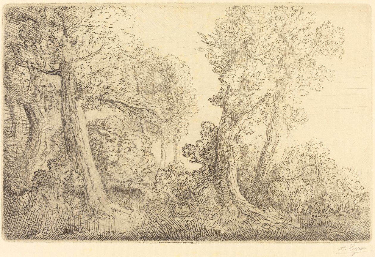 Près des Bois, Véronne - Alphonse Legros