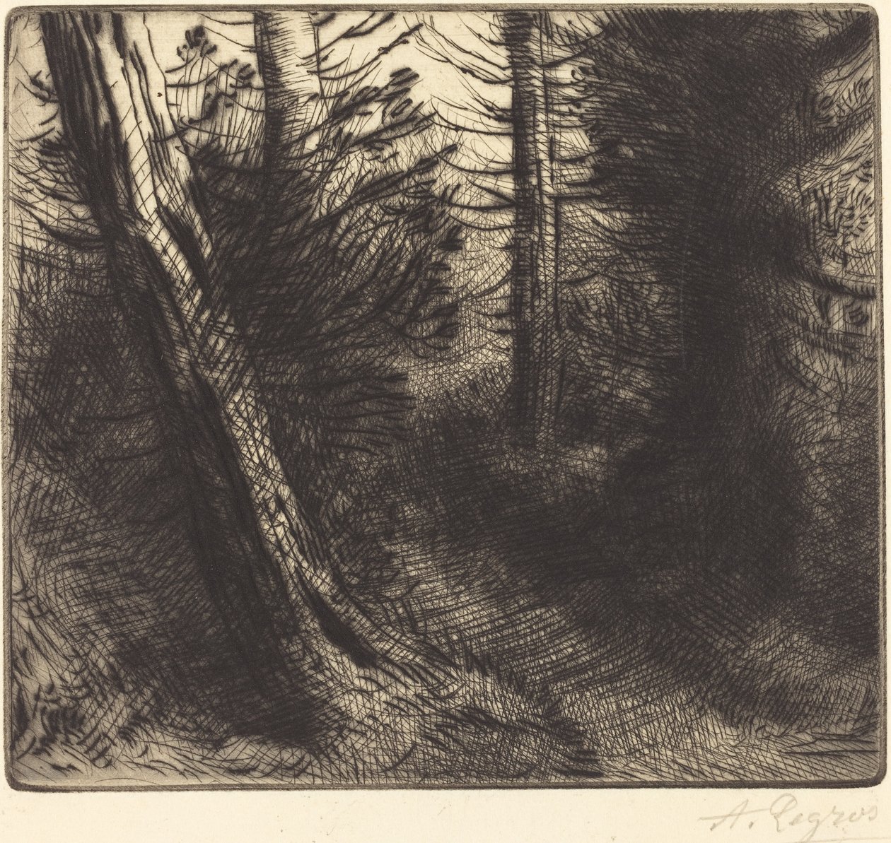 Sentier sous bois - Alphonse Legros