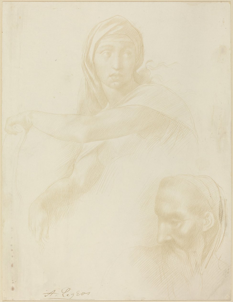 Étude de la Sibylle de Delphes, Tête d