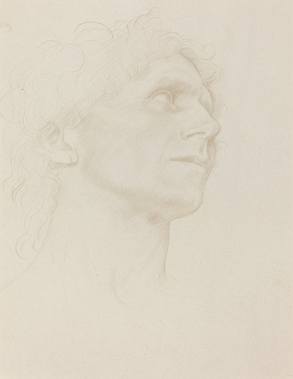 Étude de tête de femme, tournée à droite - Alphonse Legros