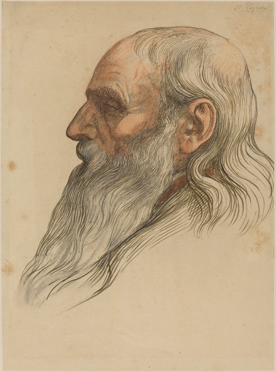 Étude de la tête d