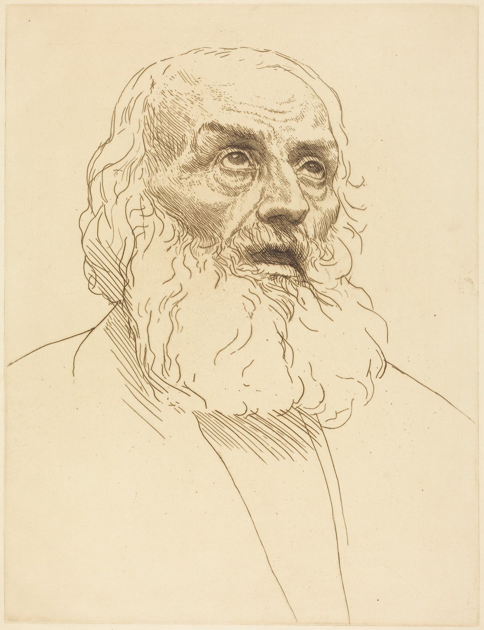 Study of an Old Man (Etude de vieillard) - Alphonse Legros