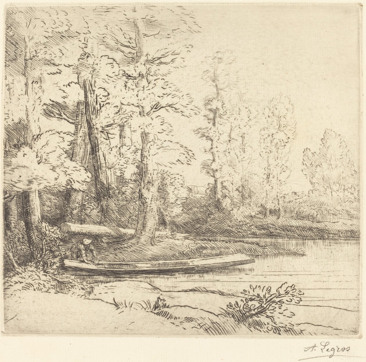 Les arbres au bord de l