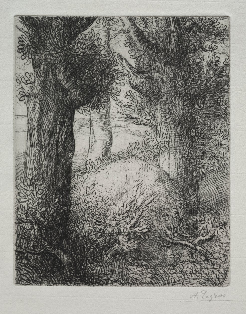 Tumulus gaulois - Alphonse Legros