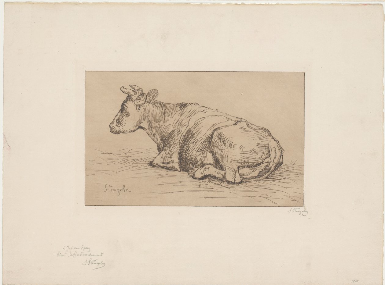 Vache couchée - Alphonse Stengelin (signed by artist)