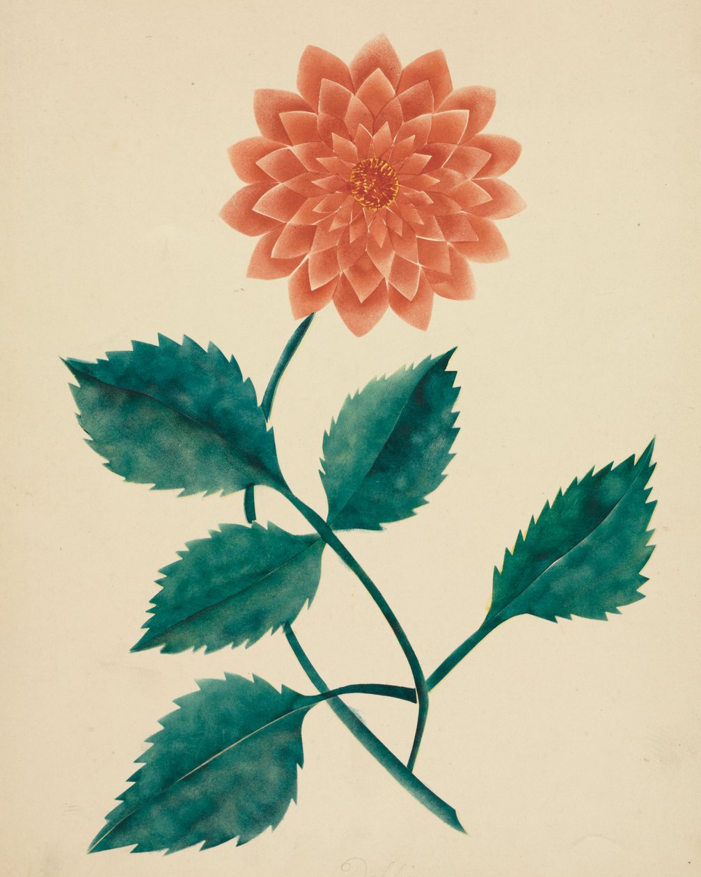Dahlia (aquarelle) - Altha Mary Nims