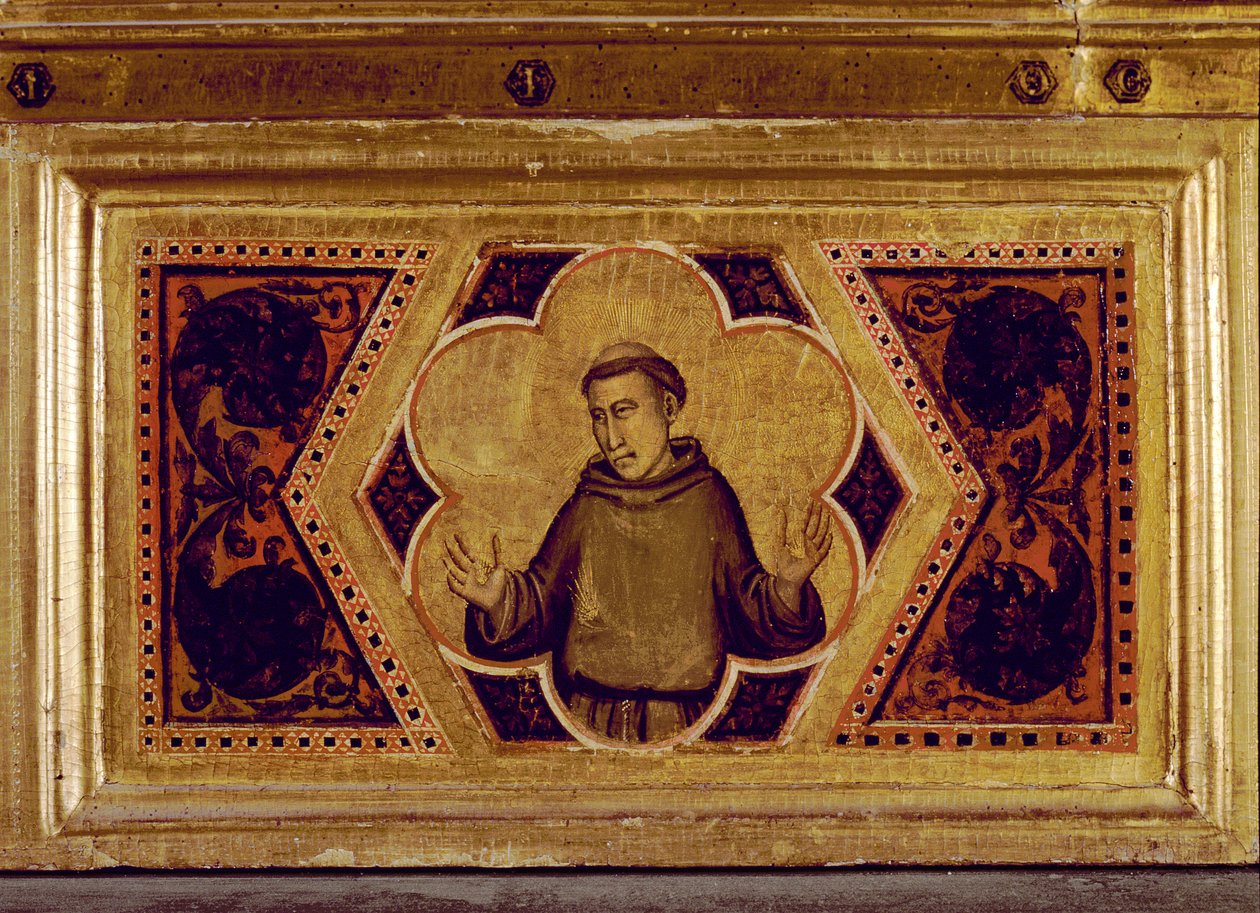 Saint François d