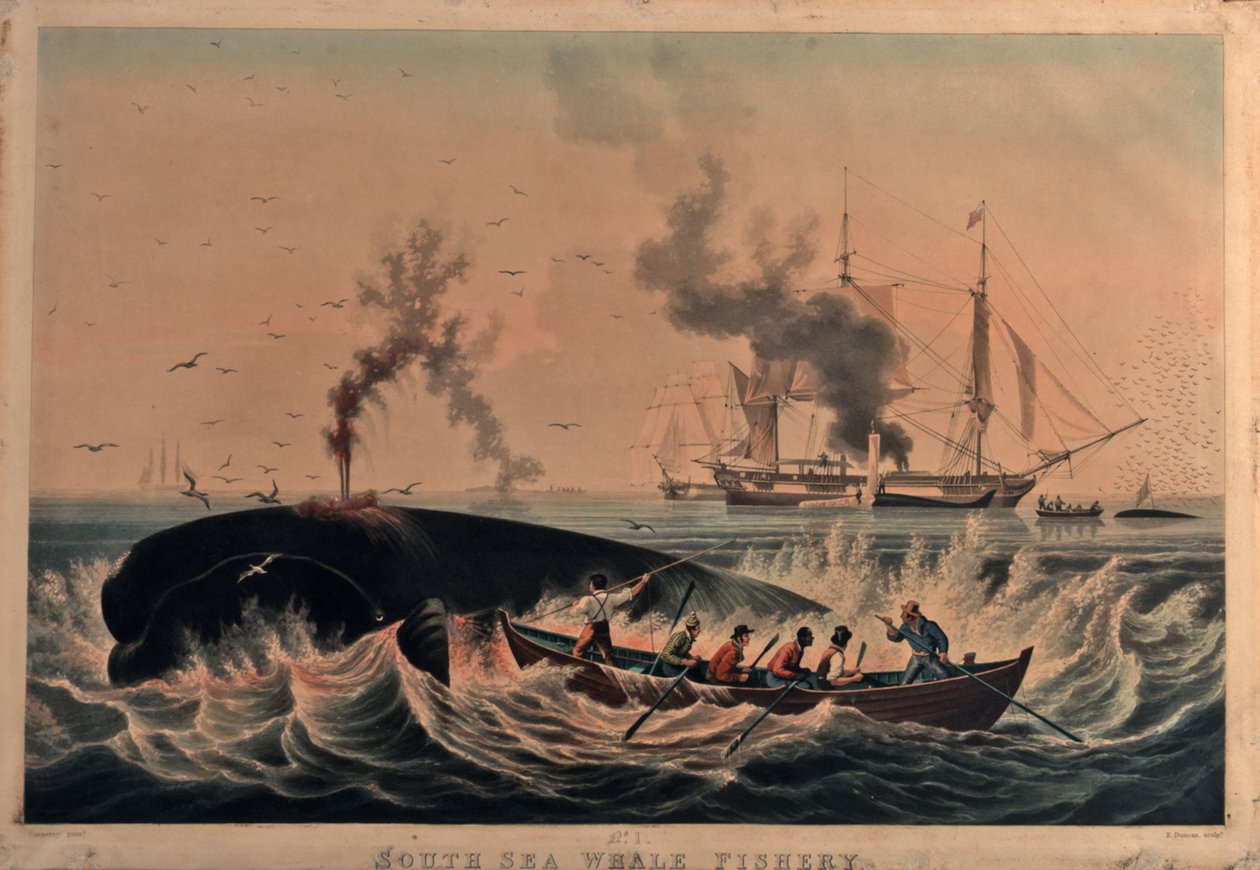 Pêche à la baleine dans les mers du Sud - Ambroise Louis (after) Garneray