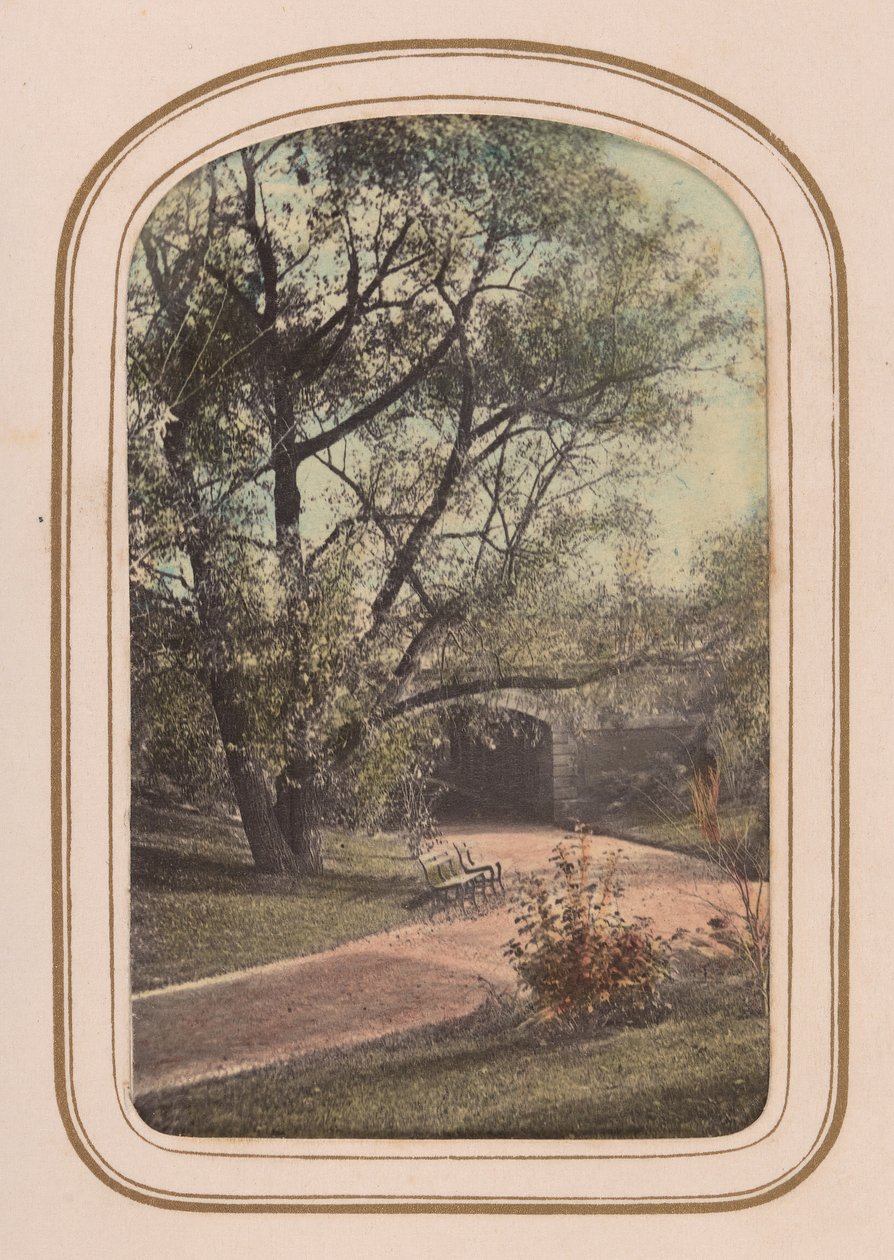 Album de cartes-de-visite des vues de Central Park, 1860s - Ambrose Jackson