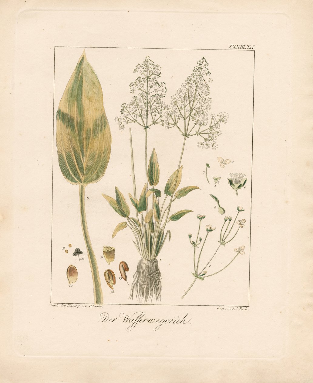  - Ambrosius Gabler