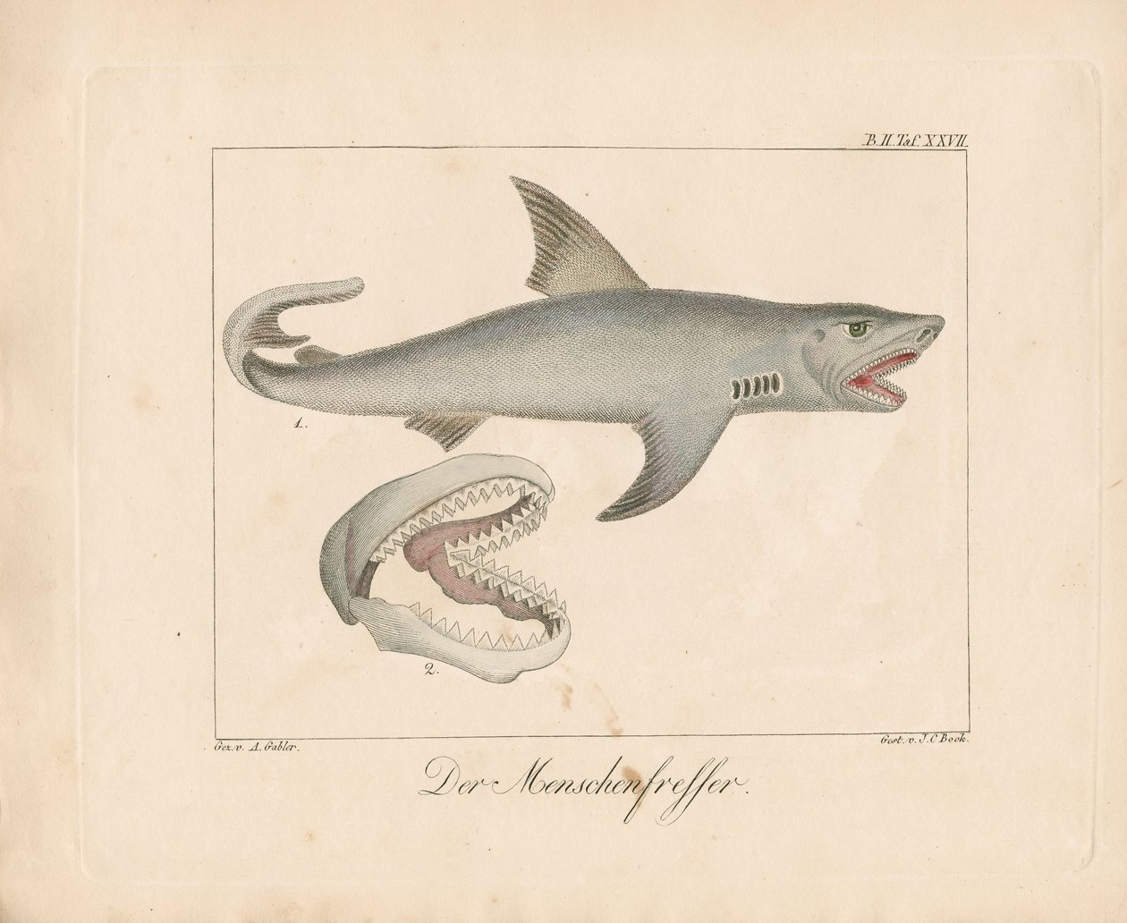  - Ambrosius Gabler