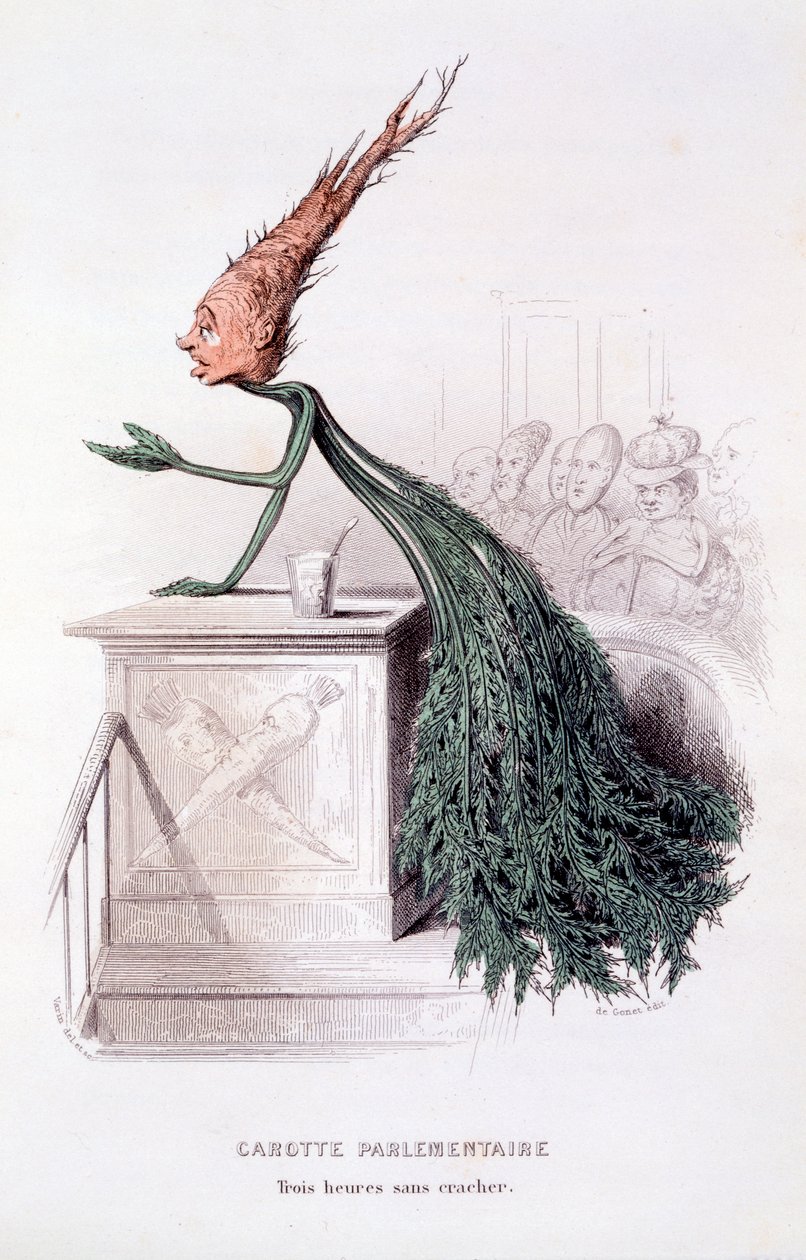 Carotte parlementaire, illustration de 