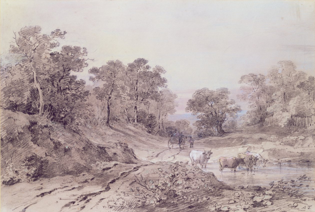 Une route de campagne entre les arbres - Amelia Long