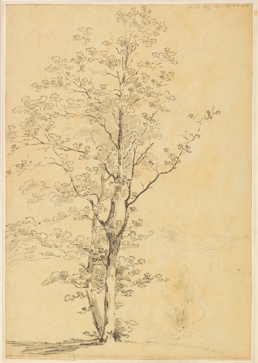 Bromley Hill - Amelia Long