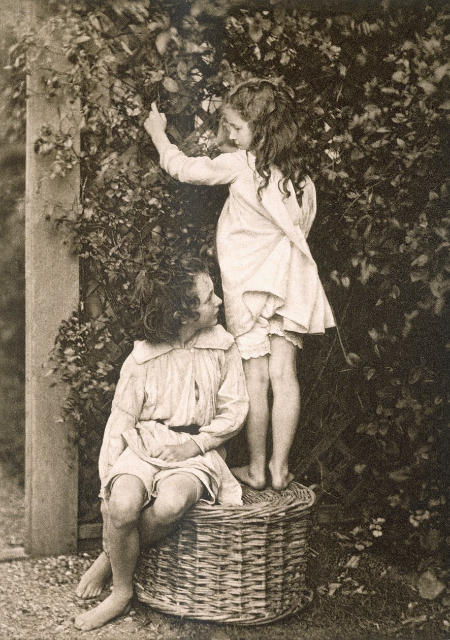 Le Jardin d