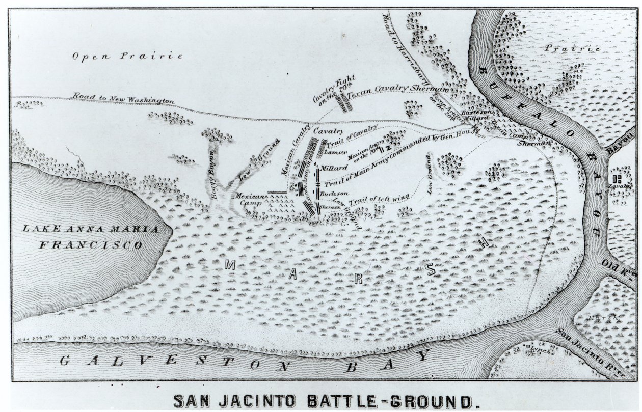 Plan du champ de bataille de San Jacinto - American School