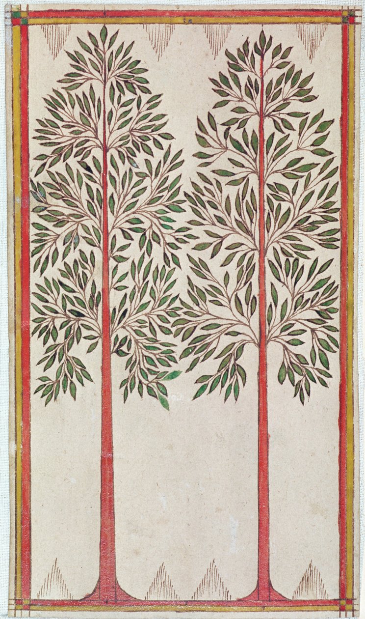 Arbres - American School