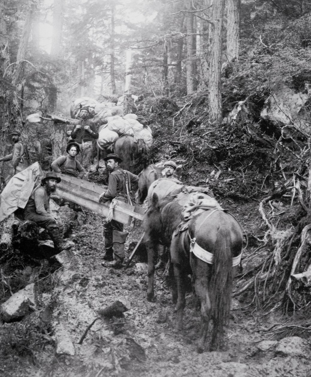 Escalade du sentier Dyea en route vers le col Chilkoot pendant la ruée vers l