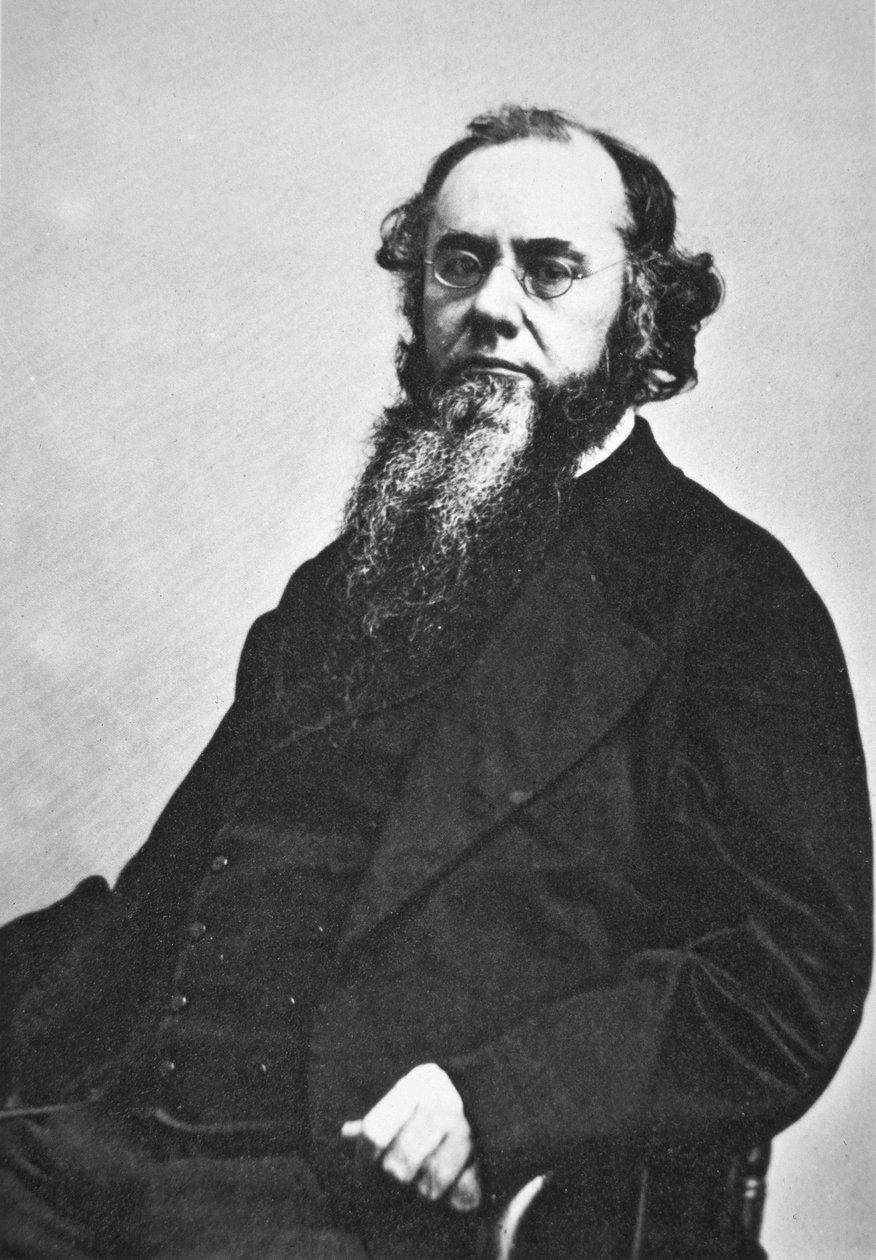 Edwin M. Stanton (1814-69) (photo n/b) - American Photographer