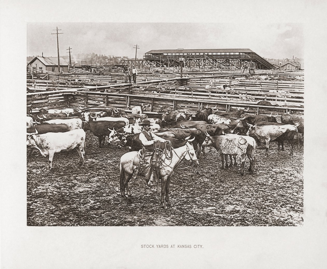 Kansas City, Missouri, États-Unis - American Photographer
