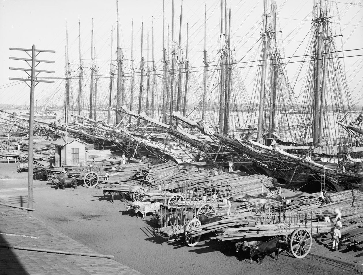 Muelle Tallapiedras, La Havane, vers 1904 - American Photographer